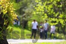 官网足球比分直播-揭秘官网足球比分直播，如何精准捕捉赛场风云，享受沉浸式观赛体验？