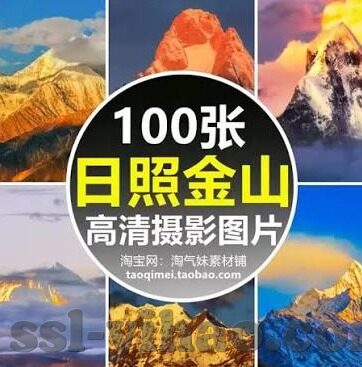 森林舞会街机在哪-森林舞会街机，探索自然与娱乐的奇妙融合