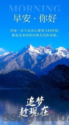 世界杯法国队员帕巴尔-法国队中的关键人物，帕巴尔